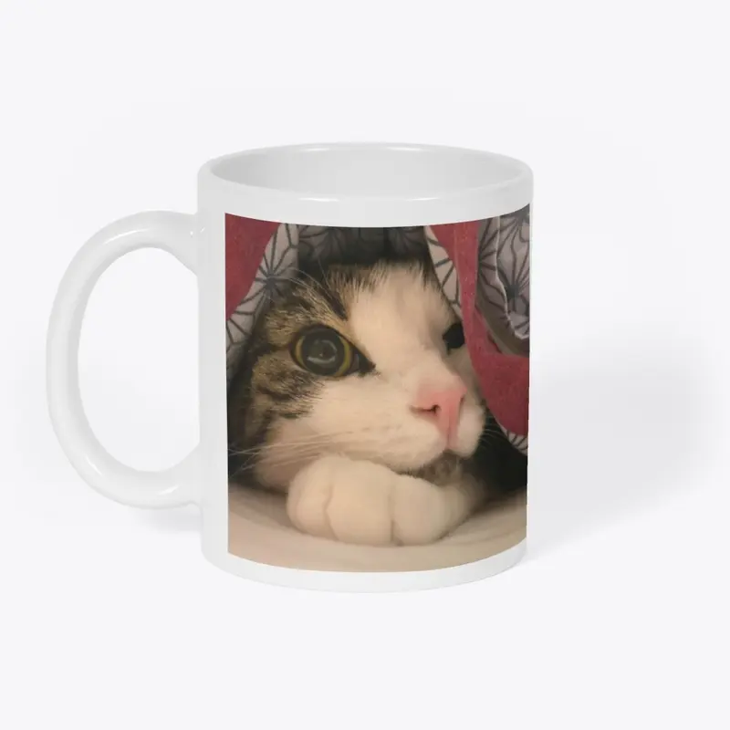 Mug - Mury